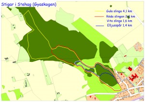 motionsspåren i Gyaskogen